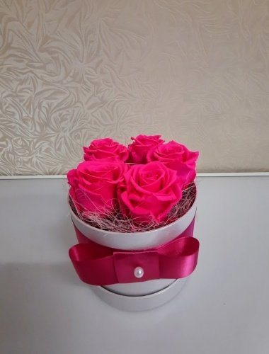 Kauasäiliv/ uinuv roosa roos UR 16