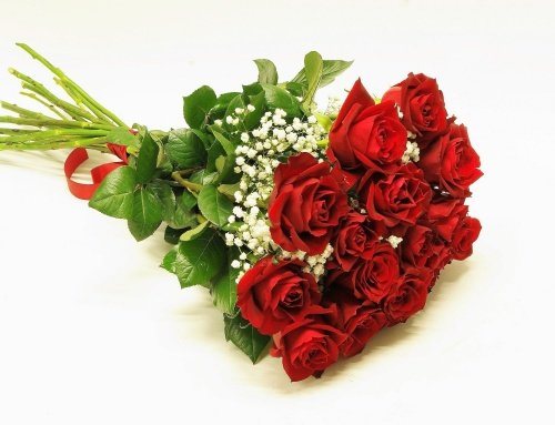 Kimp 10 imeilusat punast roosi. LK26