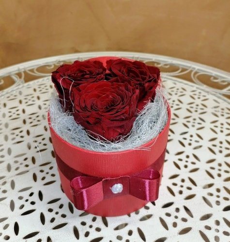 Kauasäiliv/ uinuv punane roos UR 19